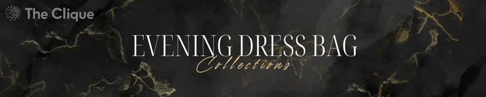 Evening Dress Bag