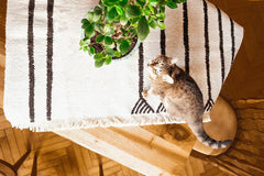 KENDIR Hand Woven Upcycle Hemp Rug