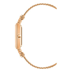 ANNE KLEIN AK-3882RGRG Kadın Kol Saati