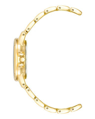 ANNE KLEIN AK-4132RQGB Kadın Kol Saati