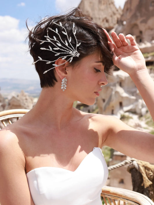 Chaseldor Shine Hair Clips