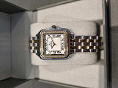 DANIEL KLEIN DK.1.13619-2 Kadın Kol Saati