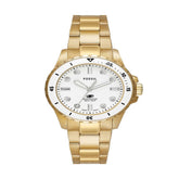 FOSSIL ES5350 Kadın Kol Saati