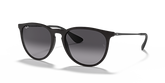 Rayban RB4171 Erika Classic