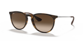 Rayban RB4171 Erika Classic