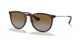 Rayban RB4171 Erika Classic