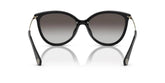 MICHAEL KORS MK 2184U 30058G 58 Woman Sunglass