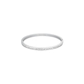 ROSEFIELD JBCBS.J1034 Kristal Taşlı Çelik Bileklik