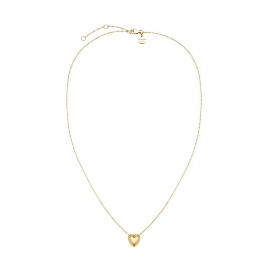 ROSEFIELD JNPHG.J1008 Kabarık Kalp Çelik Kolye