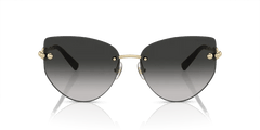 TIFFANY & CO. Tiffany Co. TF 3096 60213C 60 Women's Sunglasses