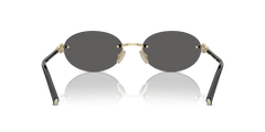 TIFFANY & CO. Tiffany Co. TF 3104D 6216S4 56 Women's Sunglasses