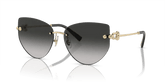 TIFFANY & CO. Tiffany Co. TF 3096 60213C 60 Women's Sunglasses