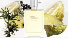 Terre D Hermes EAU Givree Edp 100 ml