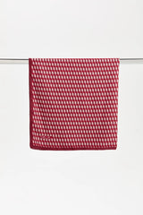 Dellel Burgundy Freesia Scarf