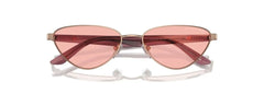 EMPORIO ARMANI EA2153 3011/5 Woman Sunglasses