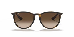 RAY-BAN RB 4171 865/13 54 Kadın Güneş Gözlüğü 