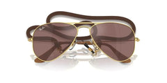 RARAYBAN RJ 9506S 223/6G 52 Children Sunglass