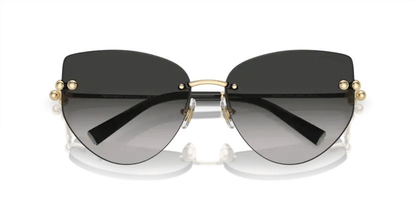 TIFFANY & CO. Tiffany Co. TF 3096 60213C 60 Women's Sunglasses