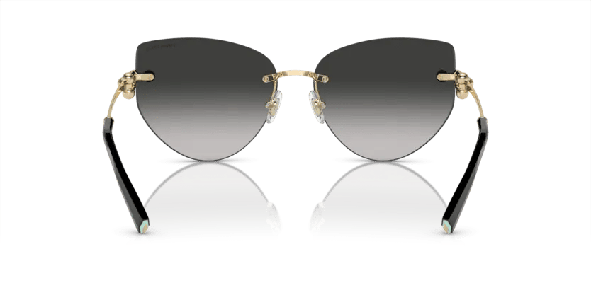 TIFFANY & CO. Tiffany Co. TF 3096 60213C 60 Women's Sunglasses