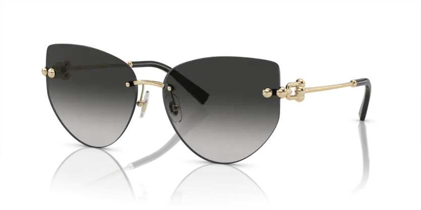 TIFFANY & CO. Tiffany Co. TF 3096 60213C 60 Women's Sunglasses