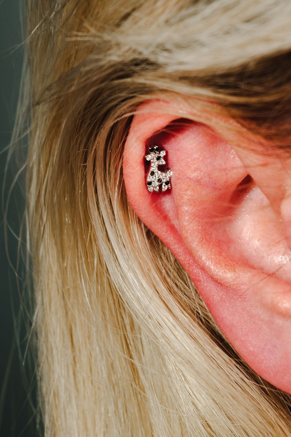 piayuli Giraffe Piercing